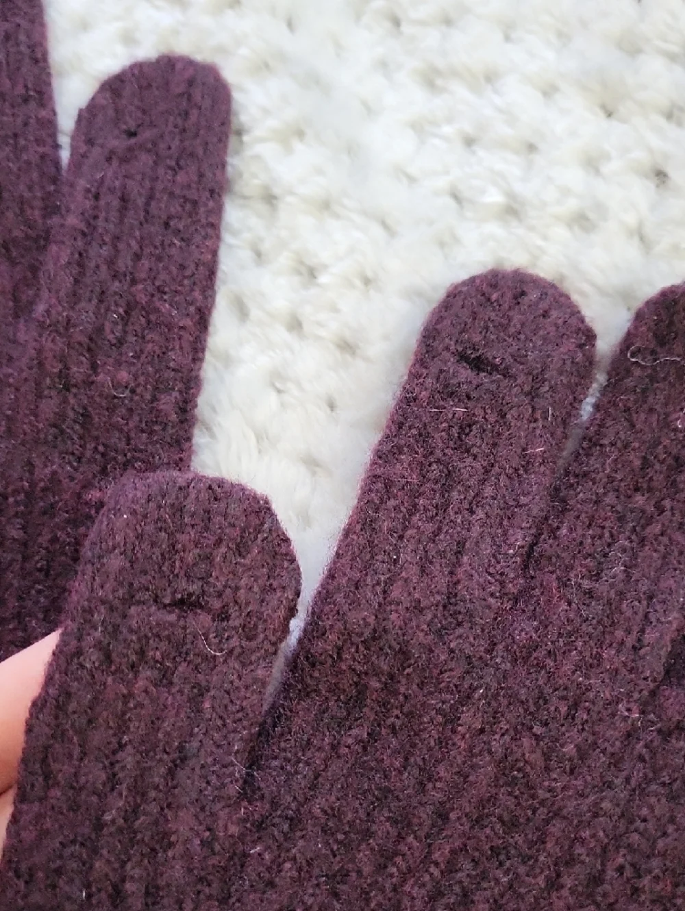 Nwot Treasure & Bond Pink and Dark Maroon Scallop Beanie & Gloves Set